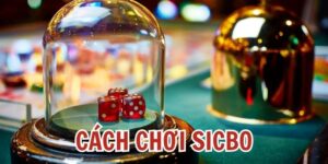 cách chơi sicbo