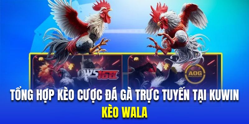 Trải nghiệm cựa cược Wala với tỷ lệ thắng khủng