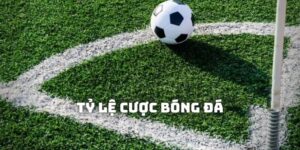 Tỷ Lệ Cược Bóng Đá