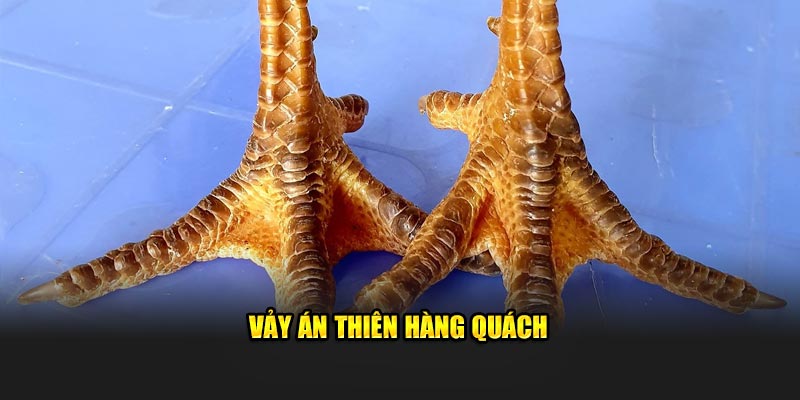Vảy án thiên hàng quách